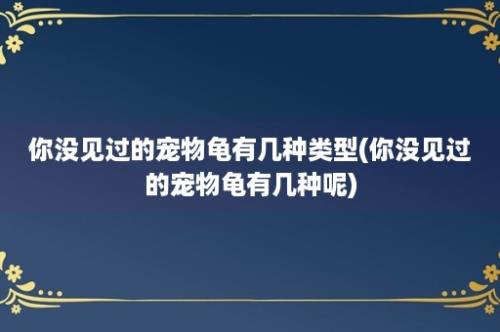 你没见过的宠物龟有几种类型(你没见过的宠物龟有几种呢)