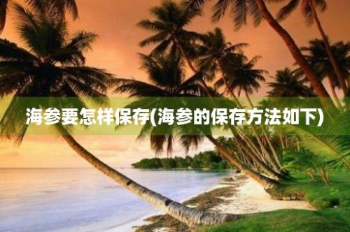 海参要怎样保存(海参的保存方法如下)