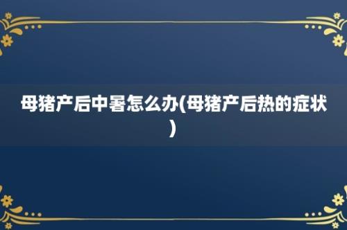 母猪产后中暑怎么办(母猪产后热的症状)