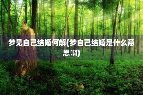 梦见自己结婚何解(梦自己结婚是什么意思啊)