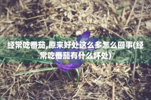 经常吃番茄,原来好处这么多怎么回事(经常吃番茄有什么坏处)