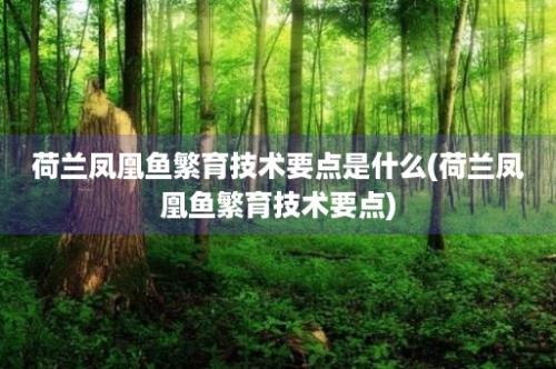 荷兰凤凰鱼繁育技术要点是什么(荷兰凤凰鱼繁育技术要点)