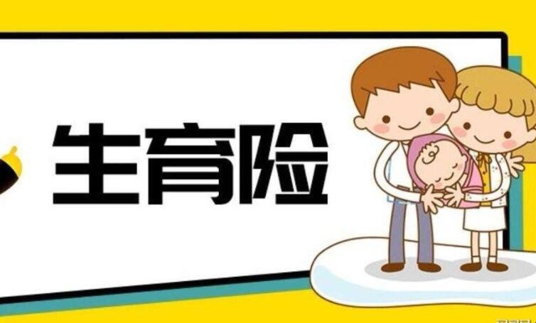 生育险报销需要什么材料