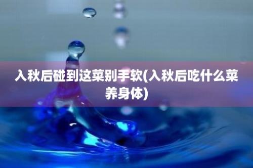 入秋后碰到这菜别手软(入秋后吃什么菜养身体)