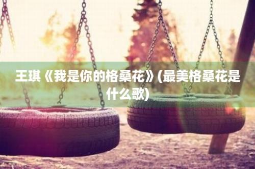 王琪《我是你的格桑花》(最美格桑花是什么歌)