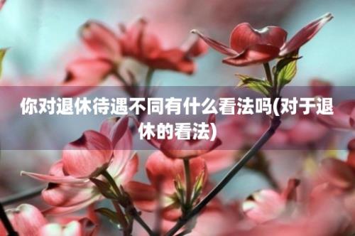 你对退休待遇不同有什么看法吗(对于退休的看法)