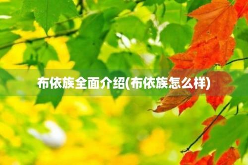 布依族全面介绍(布依族怎么样)