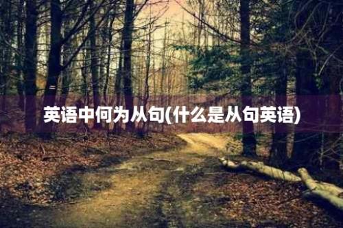 英语中何为从句(什么是从句英语)