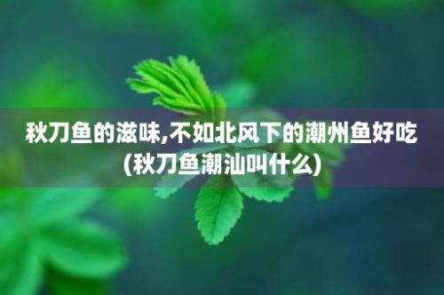 秋刀鱼的滋味,不如北风下的潮州鱼好吃(秋刀鱼潮汕叫什么)