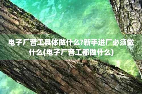 电子厂普工具体做什么?新手进厂必须做什么(电子厂普工都做什么)