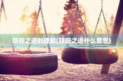 阴阳之道的理解(阴阳之道什么意思)