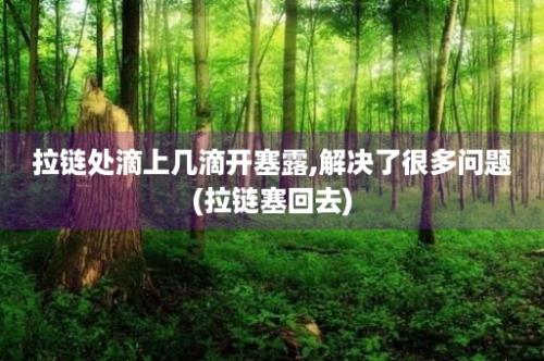 拉链处滴上几滴开塞露,解决了很多问题(拉链塞回去)