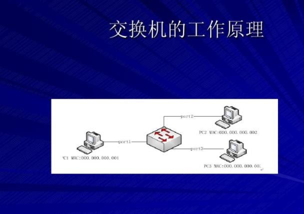 交换机和路由器有什么区别