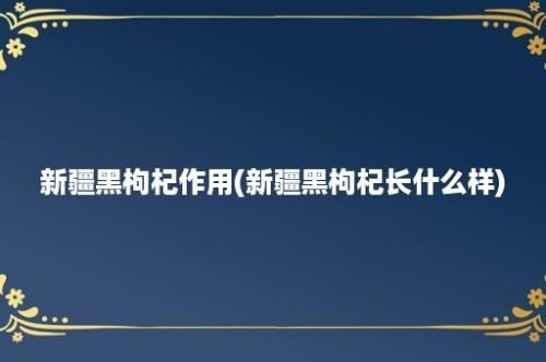 新疆黑枸杞作用(新疆黑枸杞长什么样)