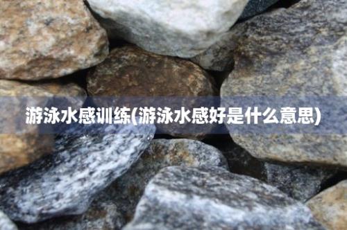 游泳水感训练(游泳水感好是什么意思)