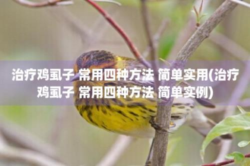 治疗鸡虱子 常用四种方法 简单实用(治疗鸡虱子 常用四种方法 简单实例)