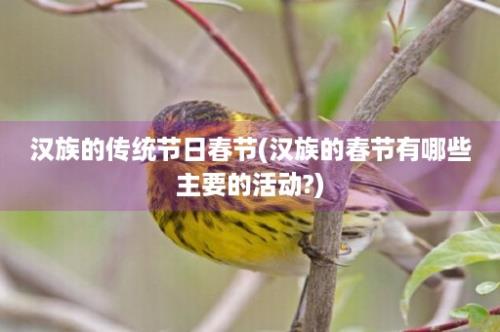 汉族的传统节日春节(汉族的春节有哪些主要的活动?)