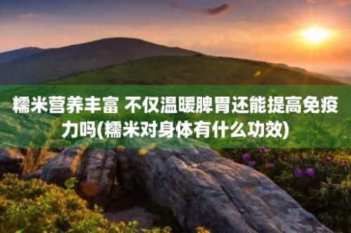 糯米营养丰富 不仅温暖脾胃还能提高免疫力吗(糯米对身体有什么功效)