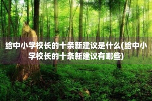 给中小学校长的十条新建议是什么(给中小学校长的十条新建议有哪些)