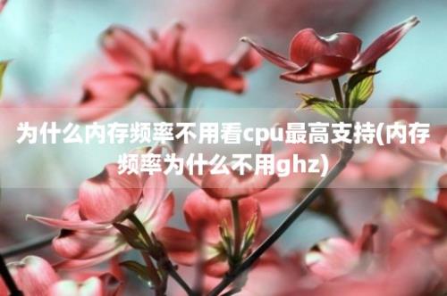 为什么内存频率不用看cpu最高支持(内存频率为什么不用ghz)