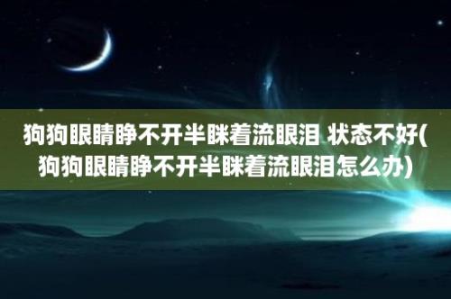 狗狗眼睛睁不开半眯着流眼泪 状态不好(狗狗眼睛睁不开半眯着流眼泪怎么办)