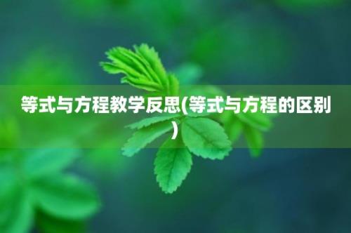 等式与方程教学反思(等式与方程的区别)