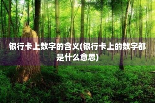 银行卡上数字的含义(银行卡上的数字都是什么意思)