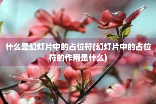 什么是幻灯片中的占位符(幻灯片中的占位符的作用是什么)