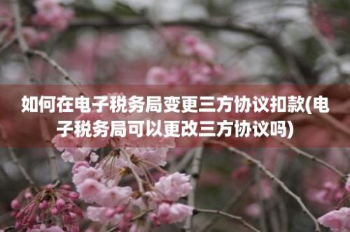 如何在电子税务局变更三方协议扣款(电子税务局可以更改三方协议吗)