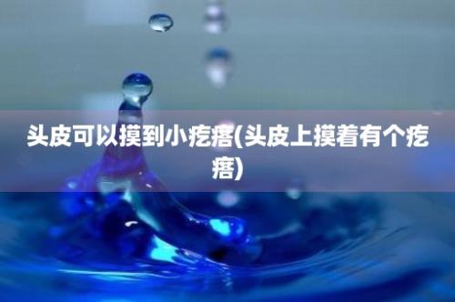 头皮可以摸到小疙瘩(头皮上摸着有个疙瘩)