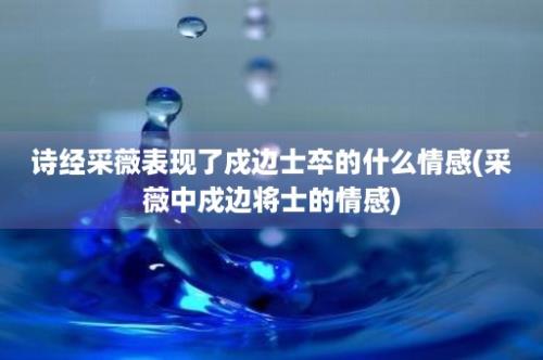 诗经采薇表现了戍边士卒的什么情感(采薇中戍边将士的情感)