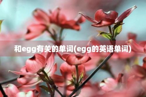 和egg有关的单词(egg的英语单词)