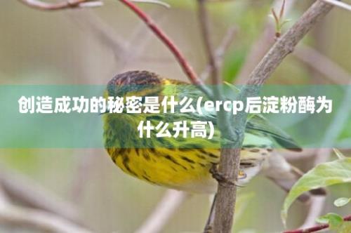 创造成功的秘密是什么(ercp后淀粉酶为什么升高)