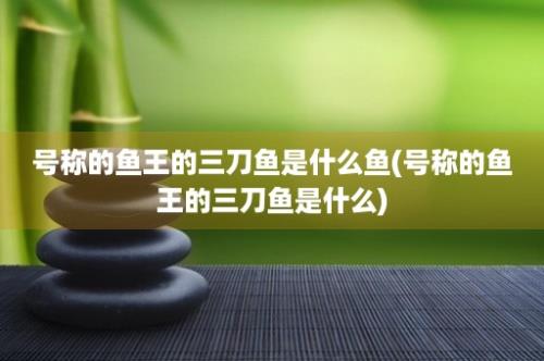 号称的鱼王的三刀鱼是什么鱼(号称的鱼王的三刀鱼是什么)