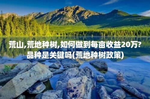 荒山,荒地种树,如何做到每亩收益20万?品种是关键吗(荒地种树政策)