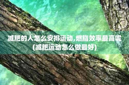 减肥的人怎么安排运动,燃脂效率最高呢(减肥运动怎么做最好)