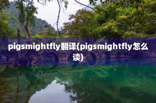 pigsmightfly翻译(pigsmightfly怎么读)