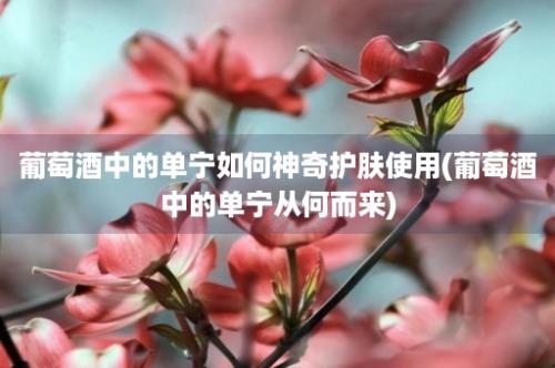 葡萄酒中的单宁如何神奇护肤使用(葡萄酒中的单宁从何而来)