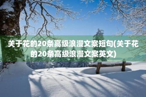 关于花的20条高级浪漫文案短句(关于花的20条高级浪漫文案英文)