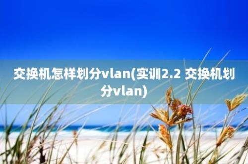 交换机怎样划分vlan(实训2.2 交换机划分vlan)