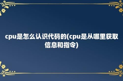 cpu是怎么认识代码的(cpu是从哪里获取信息和指令)