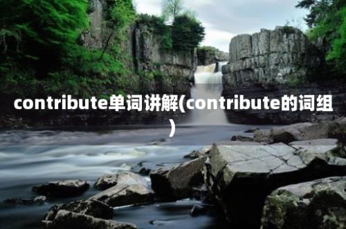 contribute单词讲解(contribute的词组)