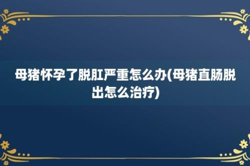 母猪怀孕了脱肛严重怎么办(母猪直肠脱出怎么治疗)