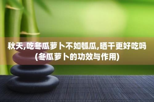 秋天,吃冬瓜萝卜不如瓠瓜,晒干更好吃吗(冬瓜萝卜的功效与作用)