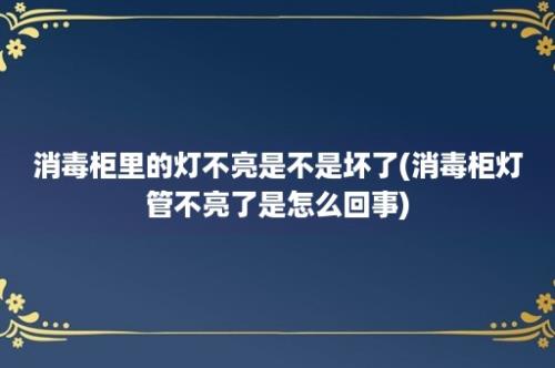 消毒柜里的灯不亮是不是坏了(消毒柜灯管不亮了是怎么回事)