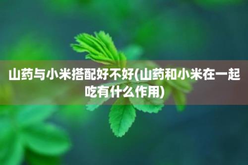 山药与小米搭配好不好(山药和小米在一起吃有什么作用)