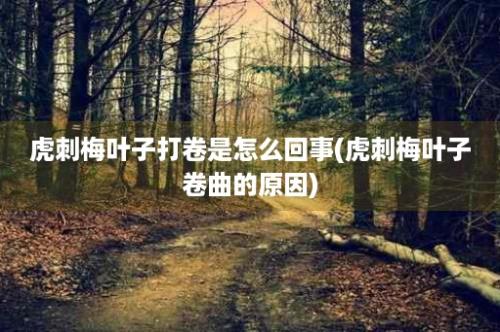 虎刺梅叶子打卷是怎么回事(虎刺梅叶子卷曲的原因)