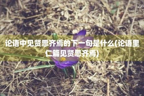 论语中见贤思齐焉的下一句是什么(论语里仁篇见贤思齐焉)