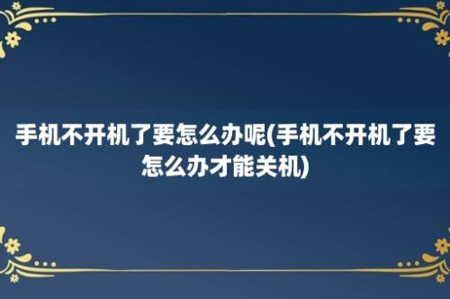 手机不开机了要怎么办呢(手机不开机了要怎么办才能关机)