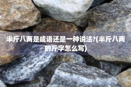 半斤八两是成语还是一种说法?(半斤八两的斤字怎么写)